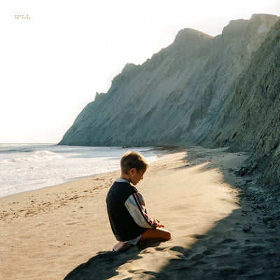 Simulcast:   - Tycho [VINYL]