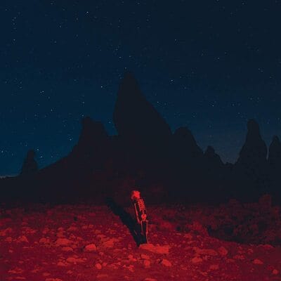 Punisher:   - Phoebe Bridgers [VINYL]