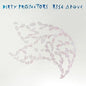 Rise Above - Dirty Projectors [VINYL]
