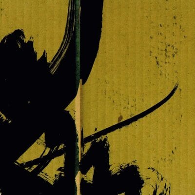 Samurai Math Beats:   - Bogdan Raczynski [VINYL]