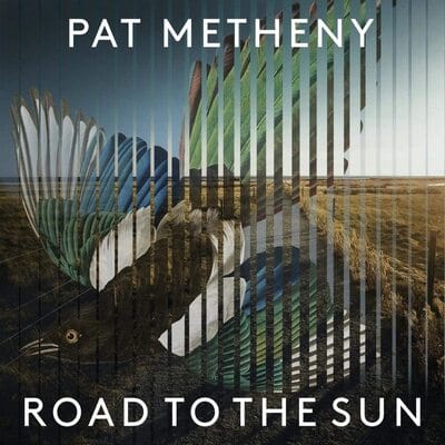 Road to the Sun - Pat Metheny [VINYL]