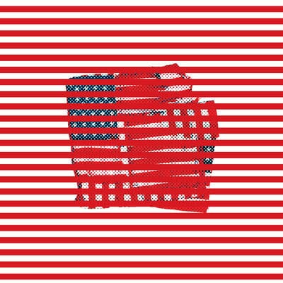 Standards - Tortoise [VINYL]