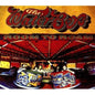 Room to Roam (Half Speed Master) - The Waterboys [VINYL]