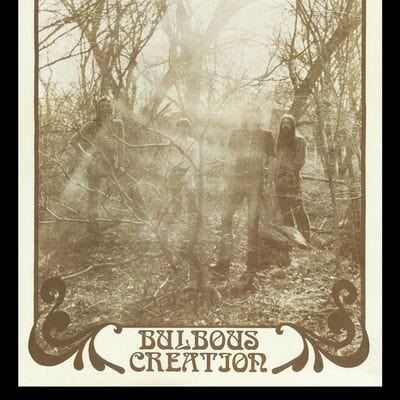 You Won't Remember Dying - Bulbous Creation [VINYL Limited Edition]
