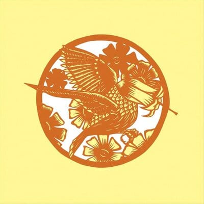 Your Past Life As a Blast - Okkervil River [VINYL]