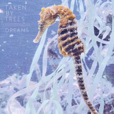 Dreams - Taken By Trees [VINYL]