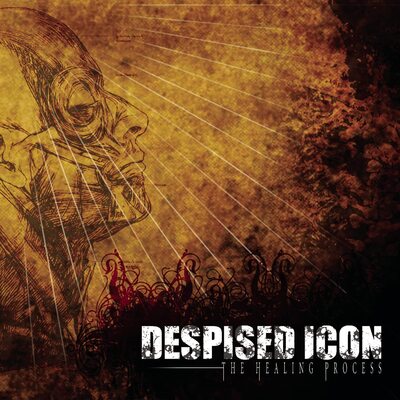 The Healing Process - Despised Icon [VINYL]