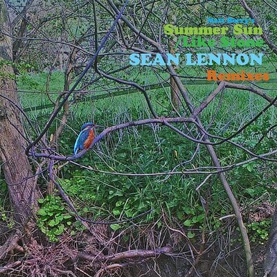 Summer Sun/Like Stone: Sean Lennon Remixes - Matt Berry [VINYL]
