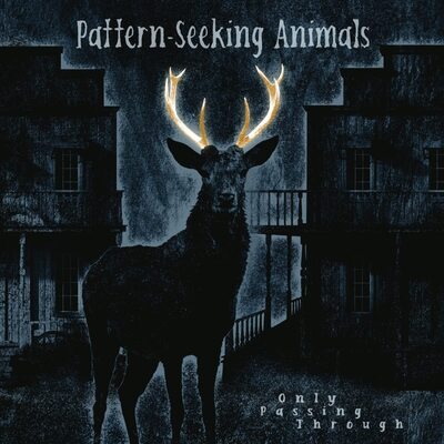 Only Passing Through:   - Pattern-Seeking Animals [VINYL]