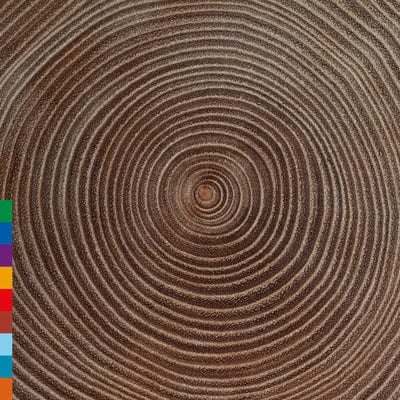 Moksha - Amjad Ali Khan [VINYL]