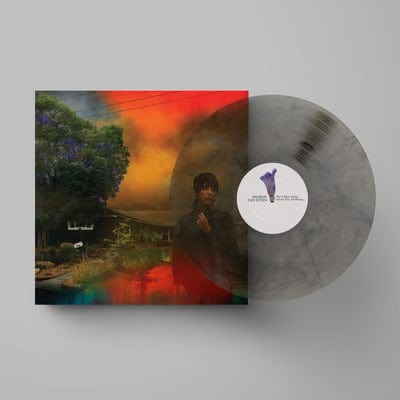 We've Been Going About This All Wrong: (Limited Edition) - Sharon Van Etten [Colour Vinyl]