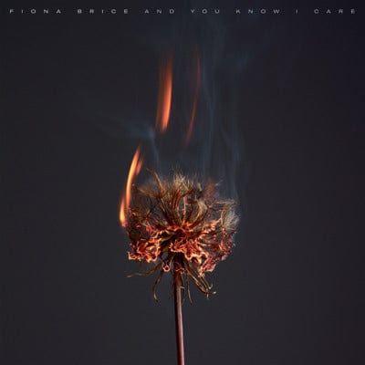 Fiona Brice: And You Know I Care - Fiona Brice [VINYL]