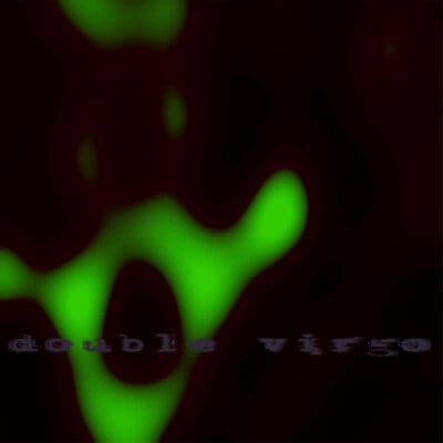 Eros in the Bunker:   - Double Virgo [VINYL]