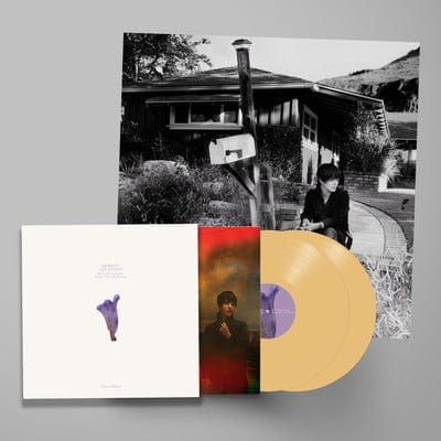 We've Been Going About This All Wrong - Sharon Van Etten [VINYL Deluxe Edition]