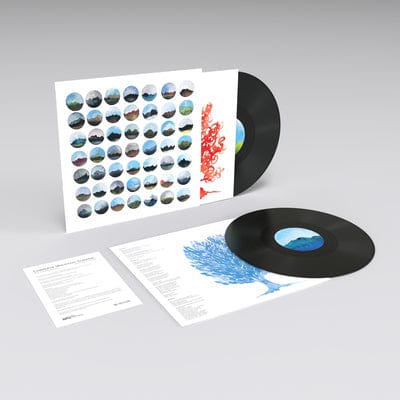 Complete Mountain Almanac - Complete Mountain Almanac [VINYL]