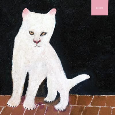 Duster - Duster [VINYL Limited Edition]