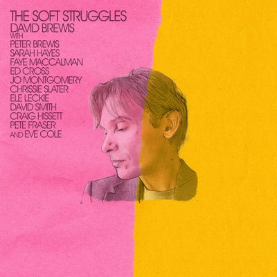 The Soft Struggles - David Brewis [VINYL]