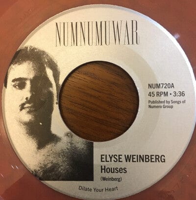 Houses - Elyse Weinberg & Dinosaur Jr. [VINYL]