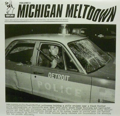 Michigan Meltdown Vol. 2: Twelve More Non-hits from Pleasant Peninsula Preternaturals - Various Artists [VINYL]
