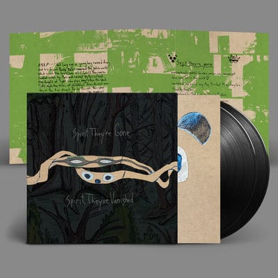 Spirit They've Gone, Spirit They've Vanisheds - Animal Collective [VINYL]