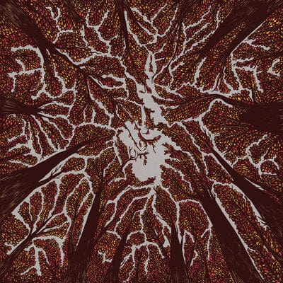 Crown Shyness - Trash Boat [VINYL]