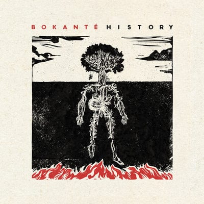 History - Bokanté [VINYL]