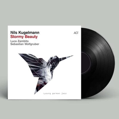 Stormy Beauty - Nils Kugelmann [VINYL]