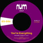 You're Everything/You're All I Need - Michael A. Dixon & J.O.Y. [VINYL]