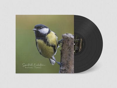 Spectral Evolution - Rafael Toral [VINYL]