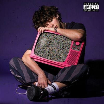 GROWING UP ON the INTERNET - NOAHFINNCE [VINYL]