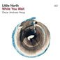 While You Wait - Little North [VINYL]