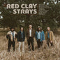 Made By These Moments - The Red Clay Strays [VINYL Limited Edition]