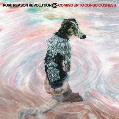 Coming Up to Consciousness - Pure Reason Revolution [VINYL]