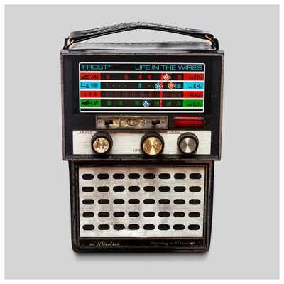 Life in the Wires - Frost* [VINYL Limited Edition]