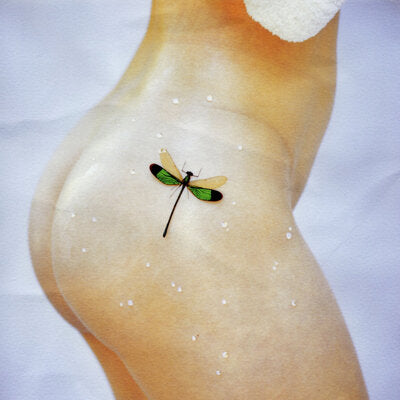 Bug - Kacy Hill [VINYL Limited Edition]