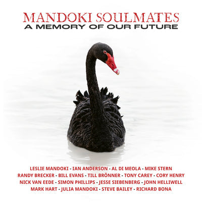 A Memory of Our Future - Mandoki Soulmates [VINYL Limited Edition]