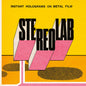 Instant Holograms On Metal Film - Stereolab [VINYL]