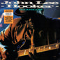 Boom Boom - John Lee Hooker [VINYL]