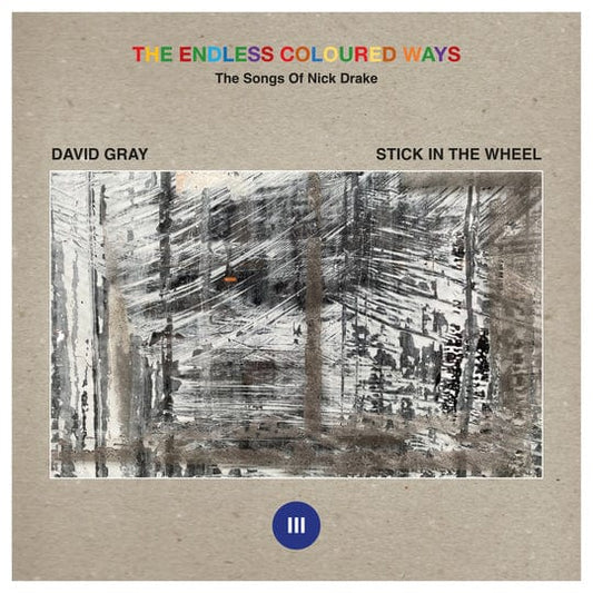 The Endless Coloured Ways: The Songs of Nick Drake - David Gray/Stick In the Wheel [VINYL]