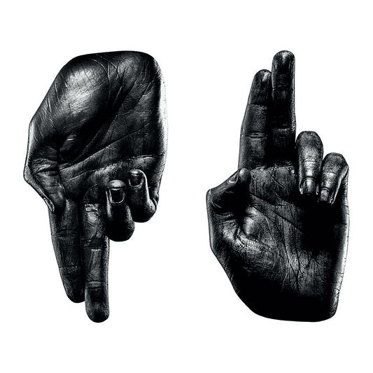 Zeal & Ardor:   - Zeal & Ardor [2LP Vinyl Deluxe]