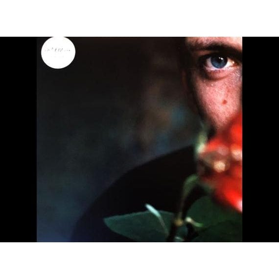 Don't Delete the Kisses (RSD 2018): - Wolf Alice [VINYL]